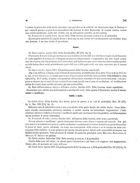 Palaeontographia Italica raccolta di monografie paleontologiche fondata da Mario Canavari nell'anno 1895