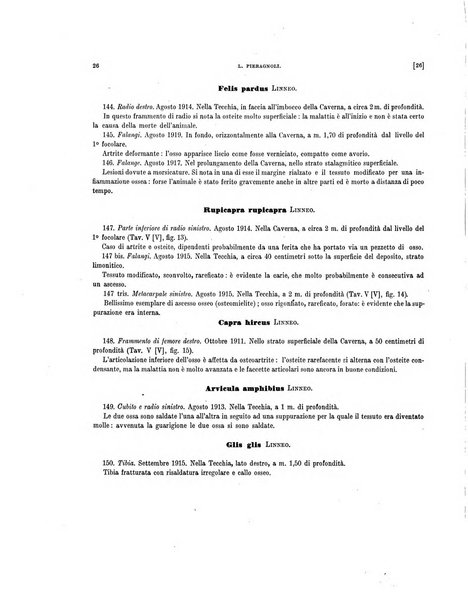 Palaeontographia Italica raccolta di monografie paleontologiche fondata da Mario Canavari nell'anno 1895