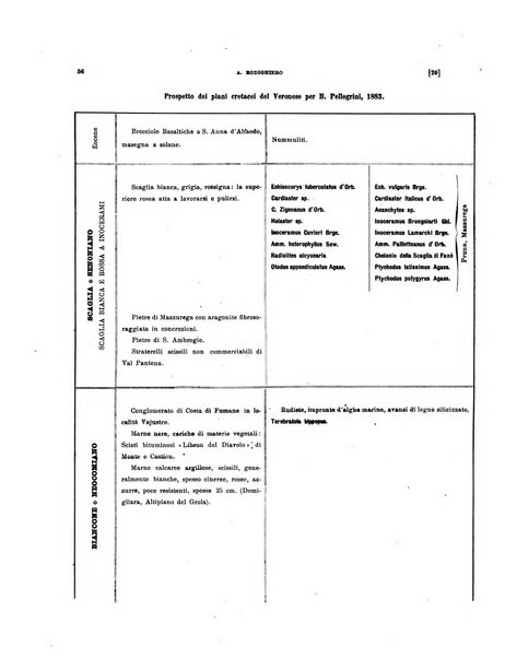 Palaeontographia Italica raccolta di monografie paleontologiche fondata da Mario Canavari nell'anno 1895