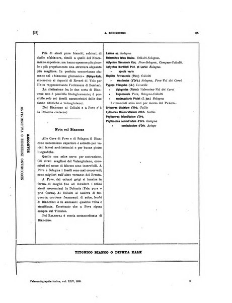 Palaeontographia Italica raccolta di monografie paleontologiche fondata da Mario Canavari nell'anno 1895