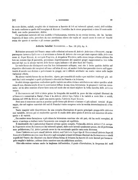 Palaeontographia Italica raccolta di monografie paleontologiche fondata da Mario Canavari nell'anno 1895