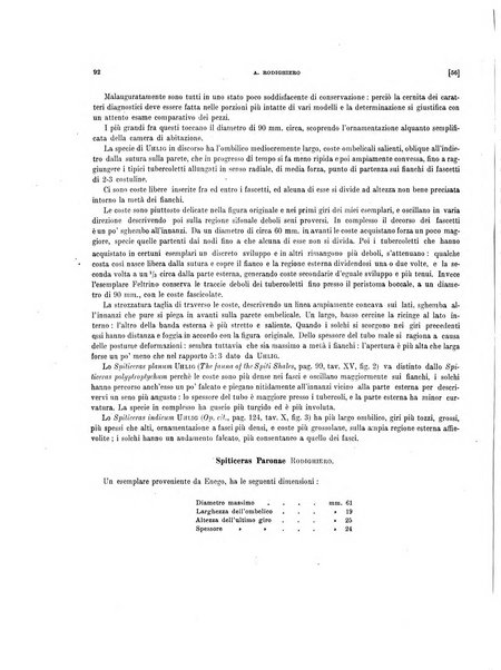 Palaeontographia Italica raccolta di monografie paleontologiche fondata da Mario Canavari nell'anno 1895