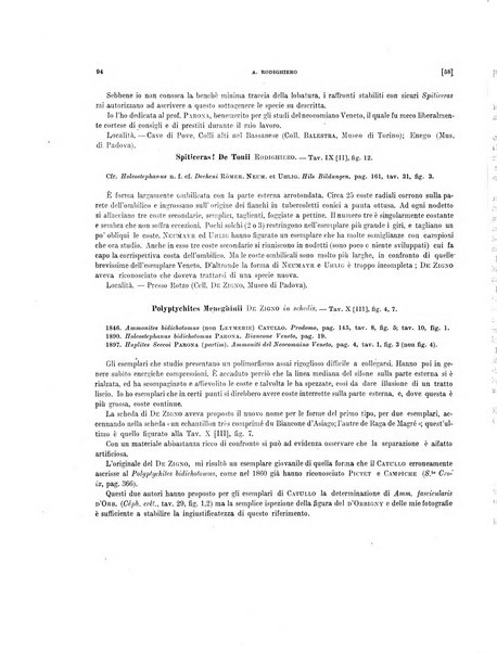 Palaeontographia Italica raccolta di monografie paleontologiche fondata da Mario Canavari nell'anno 1895