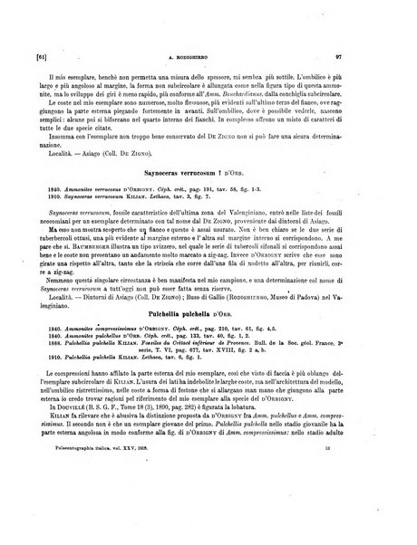 Palaeontographia Italica raccolta di monografie paleontologiche fondata da Mario Canavari nell'anno 1895