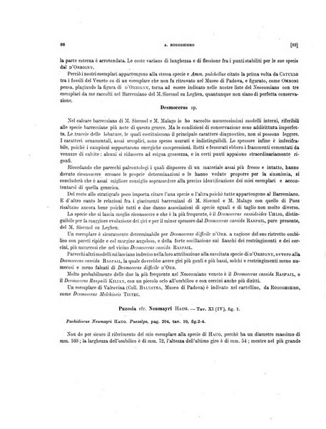 Palaeontographia Italica raccolta di monografie paleontologiche fondata da Mario Canavari nell'anno 1895