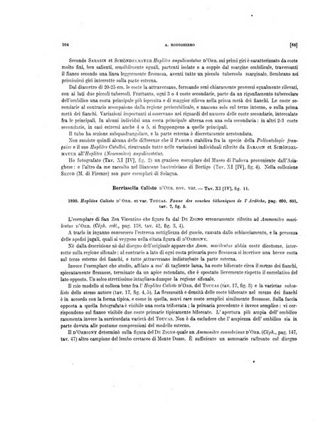 Palaeontographia Italica raccolta di monografie paleontologiche fondata da Mario Canavari nell'anno 1895