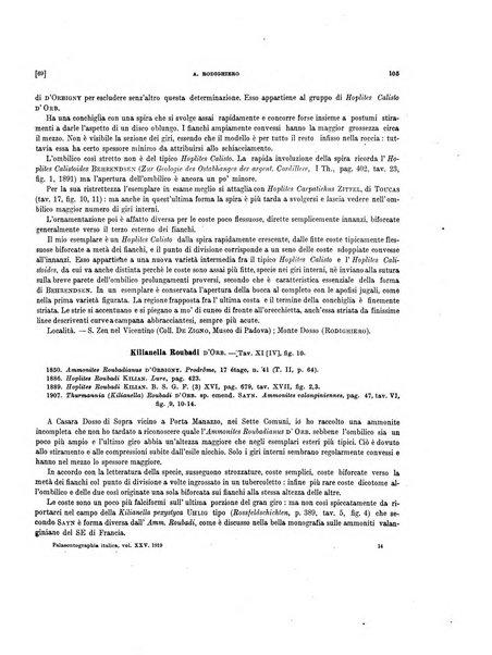 Palaeontographia Italica raccolta di monografie paleontologiche fondata da Mario Canavari nell'anno 1895