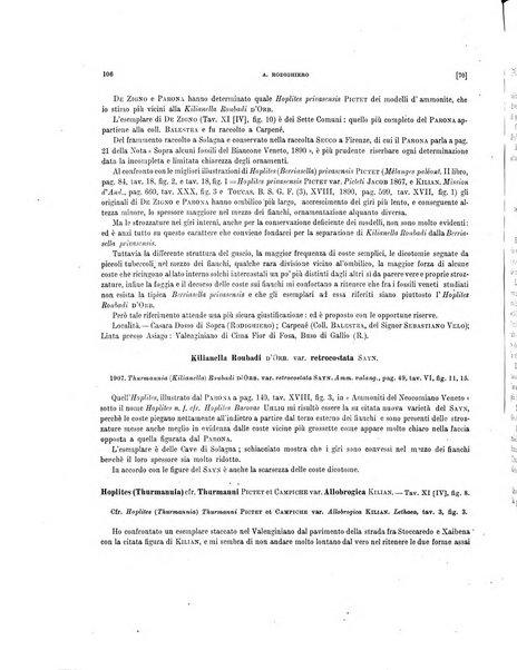 Palaeontographia Italica raccolta di monografie paleontologiche fondata da Mario Canavari nell'anno 1895