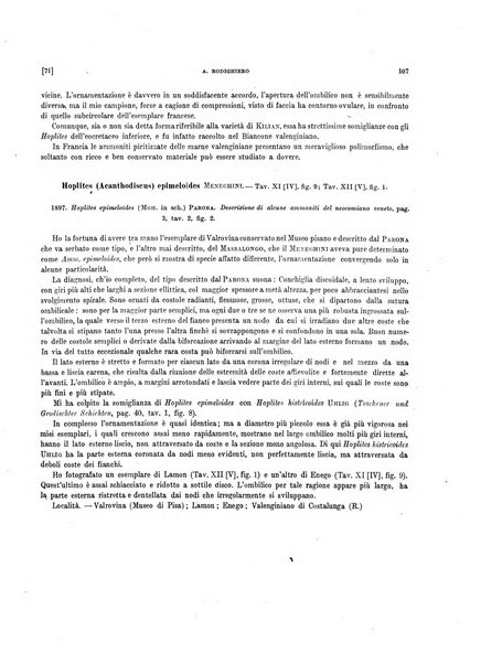 Palaeontographia Italica raccolta di monografie paleontologiche fondata da Mario Canavari nell'anno 1895