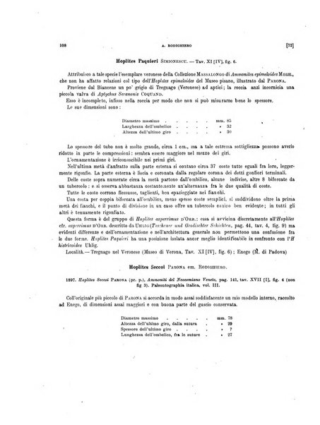 Palaeontographia Italica raccolta di monografie paleontologiche fondata da Mario Canavari nell'anno 1895