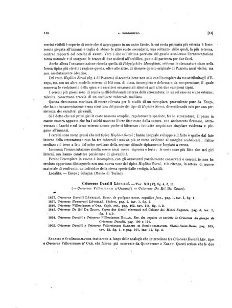 Palaeontographia Italica raccolta di monografie paleontologiche fondata da Mario Canavari nell'anno 1895