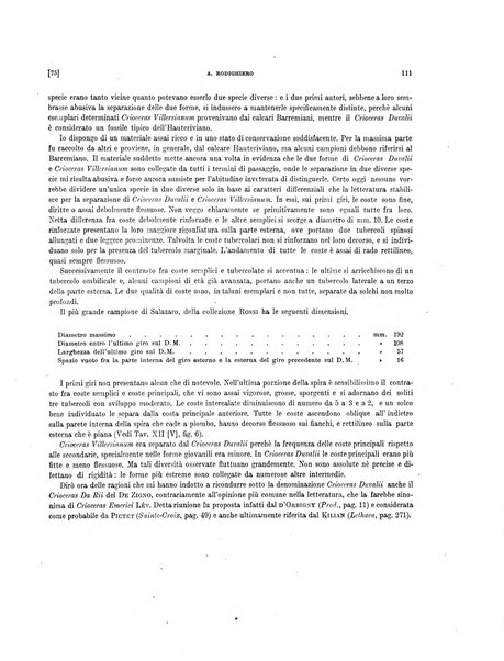 Palaeontographia Italica raccolta di monografie paleontologiche fondata da Mario Canavari nell'anno 1895