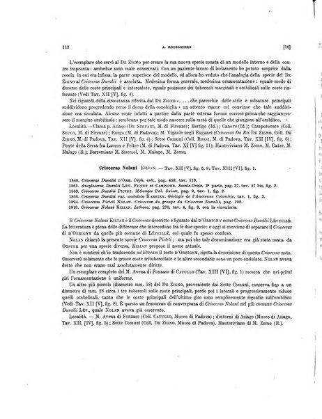 Palaeontographia Italica raccolta di monografie paleontologiche fondata da Mario Canavari nell'anno 1895