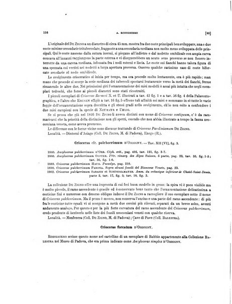 Palaeontographia Italica raccolta di monografie paleontologiche fondata da Mario Canavari nell'anno 1895