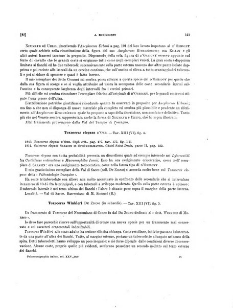 Palaeontographia Italica raccolta di monografie paleontologiche fondata da Mario Canavari nell'anno 1895