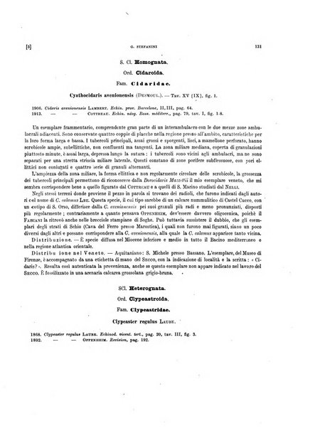 Palaeontographia Italica raccolta di monografie paleontologiche fondata da Mario Canavari nell'anno 1895