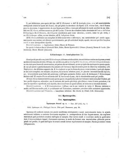 Palaeontographia Italica raccolta di monografie paleontologiche fondata da Mario Canavari nell'anno 1895