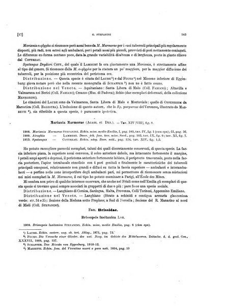 Palaeontographia Italica raccolta di monografie paleontologiche fondata da Mario Canavari nell'anno 1895