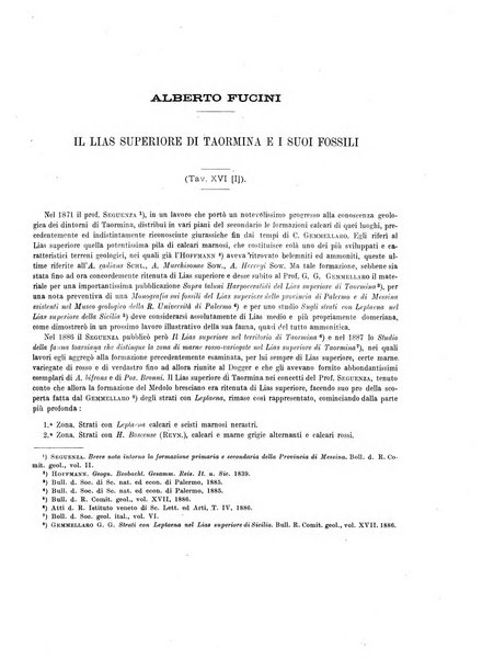 Palaeontographia Italica raccolta di monografie paleontologiche fondata da Mario Canavari nell'anno 1895