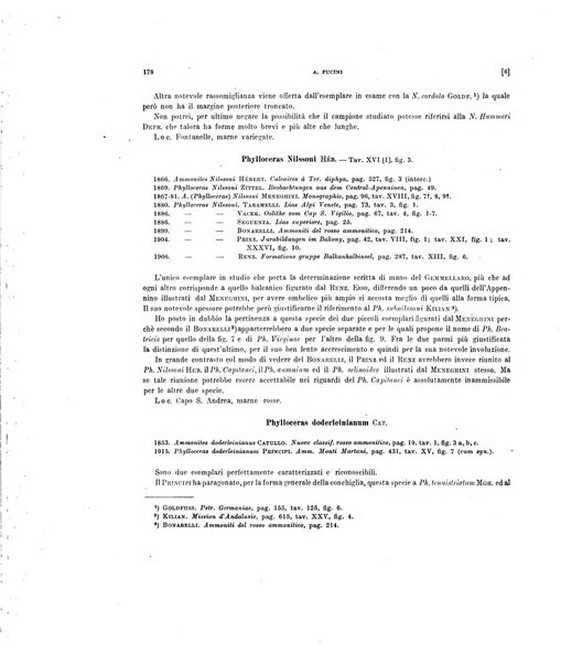 Palaeontographia Italica raccolta di monografie paleontologiche fondata da Mario Canavari nell'anno 1895