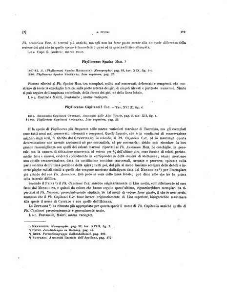 Palaeontographia Italica raccolta di monografie paleontologiche fondata da Mario Canavari nell'anno 1895