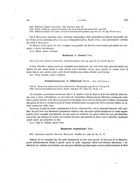 Palaeontographia Italica raccolta di monografie paleontologiche fondata da Mario Canavari nell'anno 1895