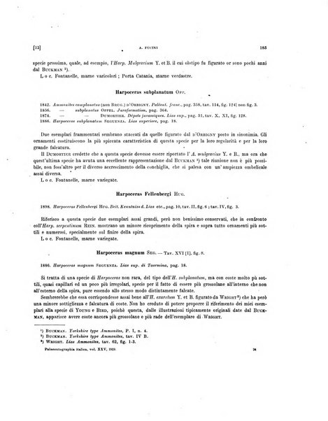 Palaeontographia Italica raccolta di monografie paleontologiche fondata da Mario Canavari nell'anno 1895