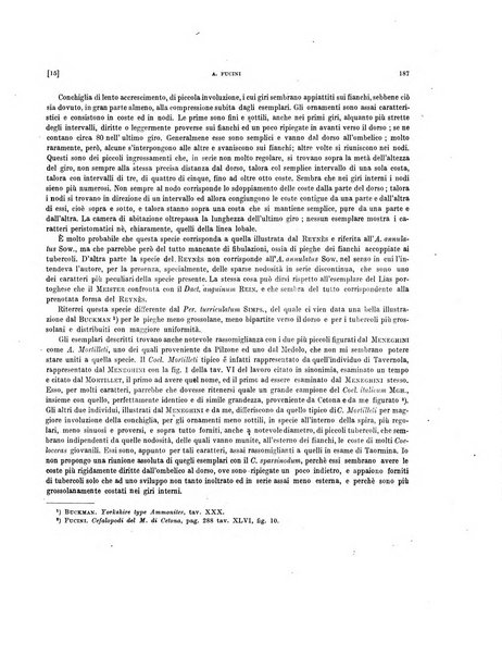 Palaeontographia Italica raccolta di monografie paleontologiche fondata da Mario Canavari nell'anno 1895