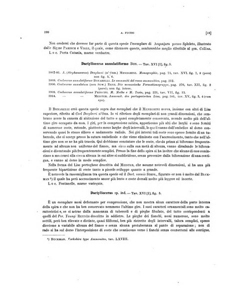 Palaeontographia Italica raccolta di monografie paleontologiche fondata da Mario Canavari nell'anno 1895