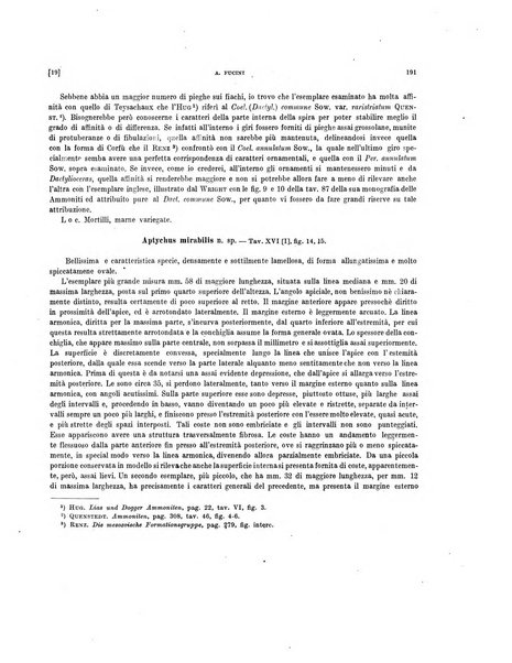 Palaeontographia Italica raccolta di monografie paleontologiche fondata da Mario Canavari nell'anno 1895