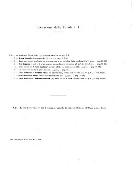 Palaeontographia Italica raccolta di monografie paleontologiche fondata da Mario Canavari nell'anno 1895