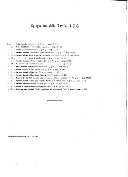 Palaeontographia Italica raccolta di monografie paleontologiche fondata da Mario Canavari nell'anno 1895