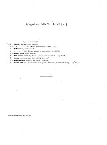 Palaeontographia Italica raccolta di monografie paleontologiche fondata da Mario Canavari nell'anno 1895