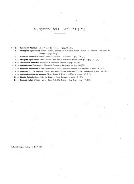 Palaeontographia Italica raccolta di monografie paleontologiche fondata da Mario Canavari nell'anno 1895