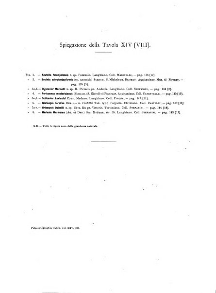 Palaeontographia Italica raccolta di monografie paleontologiche fondata da Mario Canavari nell'anno 1895