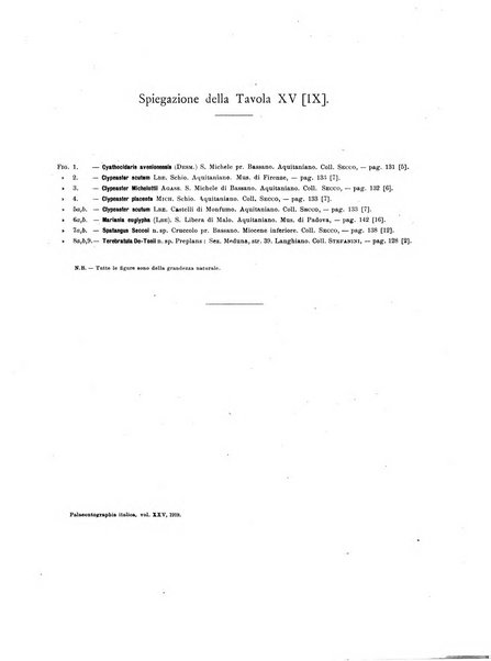 Palaeontographia Italica raccolta di monografie paleontologiche fondata da Mario Canavari nell'anno 1895