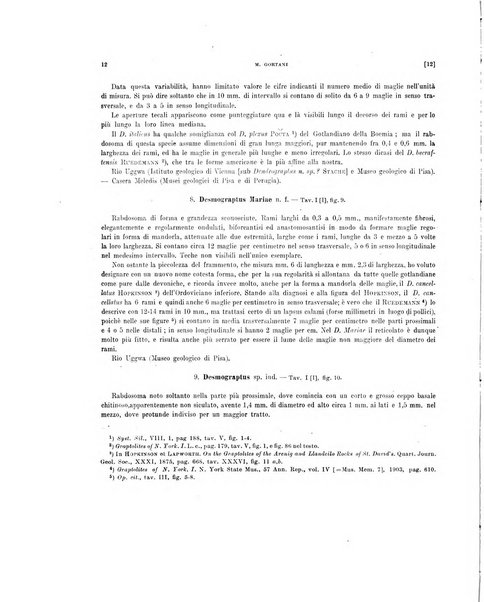 Palaeontographia Italica raccolta di monografie paleontologiche fondata da Mario Canavari nell'anno 1895