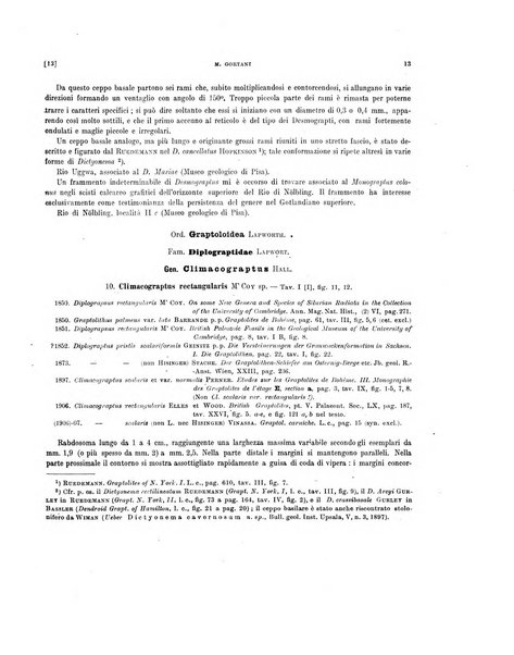 Palaeontographia Italica raccolta di monografie paleontologiche fondata da Mario Canavari nell'anno 1895