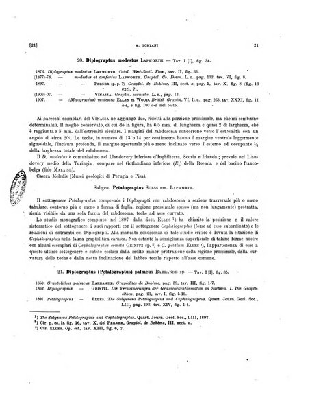 Palaeontographia Italica raccolta di monografie paleontologiche fondata da Mario Canavari nell'anno 1895