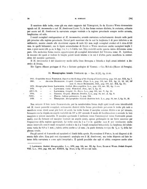 Palaeontographia Italica raccolta di monografie paleontologiche fondata da Mario Canavari nell'anno 1895