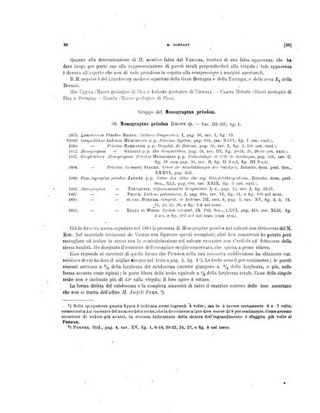 Palaeontographia Italica raccolta di monografie paleontologiche fondata da Mario Canavari nell'anno 1895