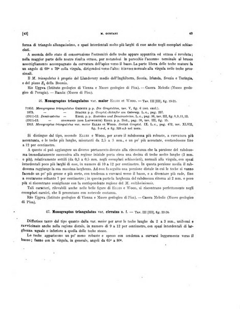 Palaeontographia Italica raccolta di monografie paleontologiche fondata da Mario Canavari nell'anno 1895