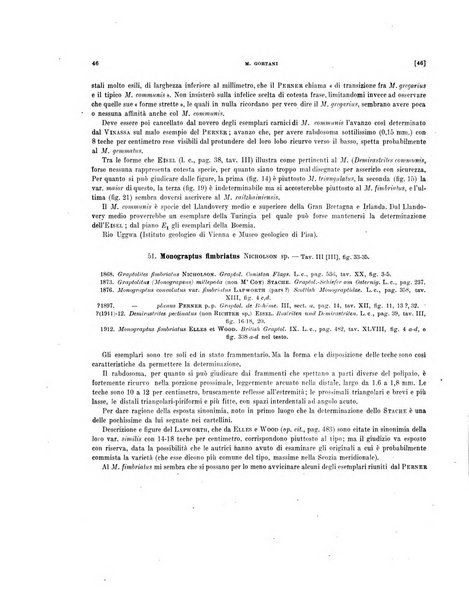 Palaeontographia Italica raccolta di monografie paleontologiche fondata da Mario Canavari nell'anno 1895