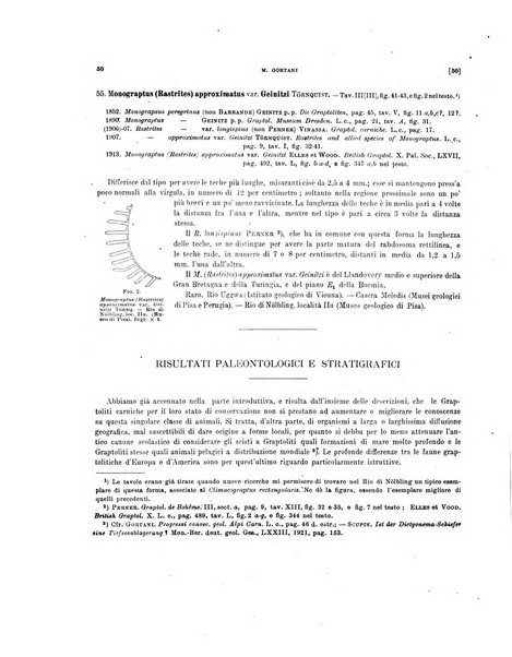 Palaeontographia Italica raccolta di monografie paleontologiche fondata da Mario Canavari nell'anno 1895