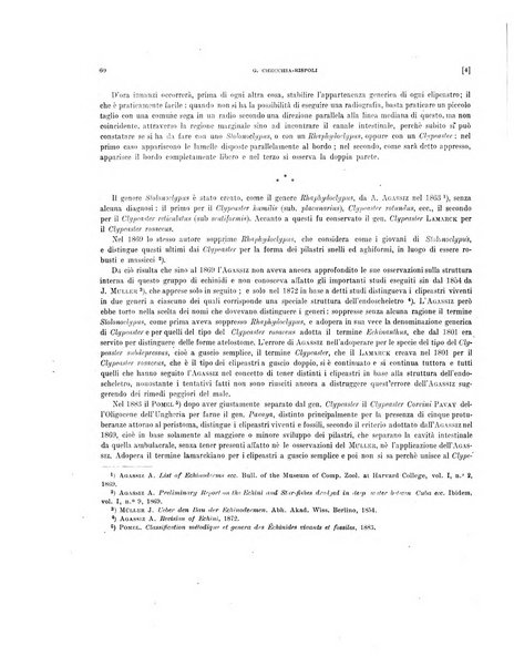 Palaeontographia Italica raccolta di monografie paleontologiche fondata da Mario Canavari nell'anno 1895