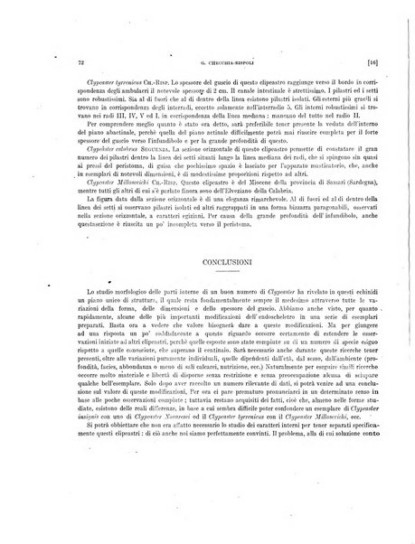 Palaeontographia Italica raccolta di monografie paleontologiche fondata da Mario Canavari nell'anno 1895