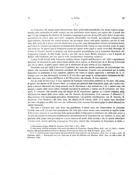 Palaeontographia Italica raccolta di monografie paleontologiche fondata da Mario Canavari nell'anno 1895