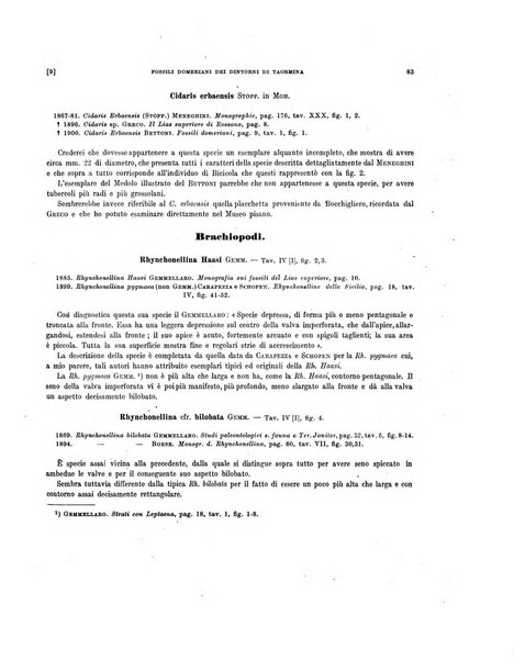 Palaeontographia Italica raccolta di monografie paleontologiche fondata da Mario Canavari nell'anno 1895