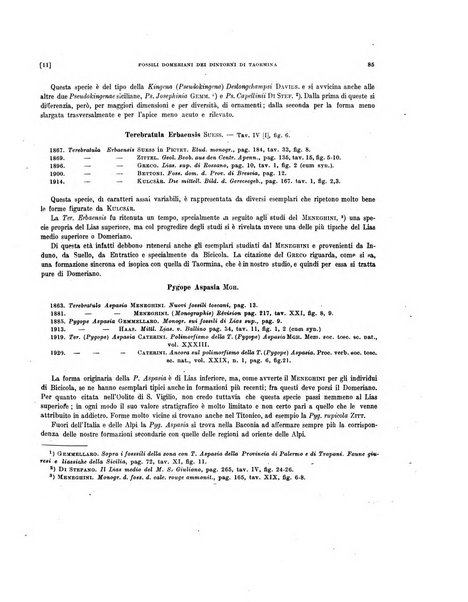 Palaeontographia Italica raccolta di monografie paleontologiche fondata da Mario Canavari nell'anno 1895