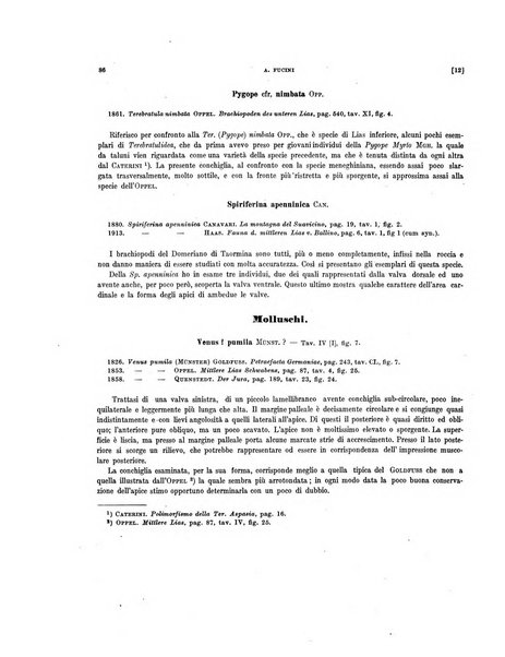 Palaeontographia Italica raccolta di monografie paleontologiche fondata da Mario Canavari nell'anno 1895